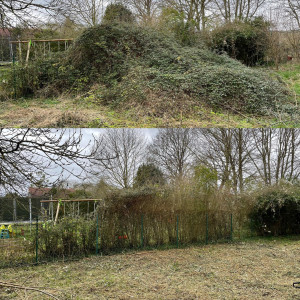 Photo de galerie - Débroussailleuse