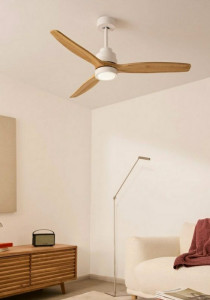 Photo de galerie - Le ventilateur de plafond peut diminuer la température ressentie de deux degrés!!!