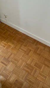 Photo de galerie - Parquet vitrifié 