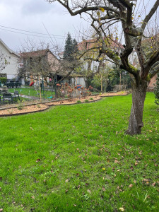 Photo de galerie - Amenagement d’un massif et création d’un gazon semis