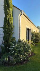 Photo de galerie - Création d’un massif en pied de façade composé d’un conifère colonnaire structurant, d’arbustes persistants à floraison blanche et d’une strate basse de vivaces.
Le massif est délimité par une bordure et paillé en écorces de pin, assurant une finition pro