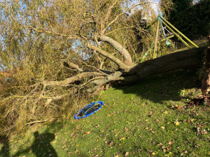 Photo de galerie - Découpage d’un arbres après le passage d d’la tempête 