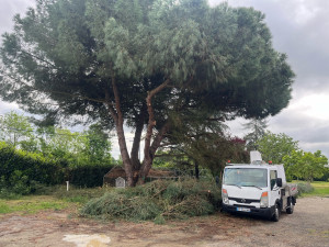 Photo de galerie - Réalisation 