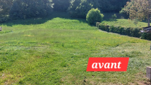 Photo de galerie - Tonte de pelouse 