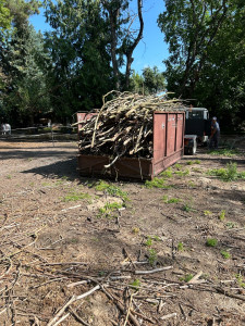 Photo de galerie - évacuation de déchet vert (9m3)