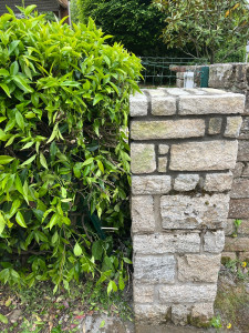 Photo de galerie - Pierre