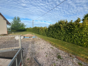 Photo de galerie - Taille de haies et d'arbustes