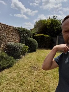 Photo de galerie - Taille de haies et d'arbustes