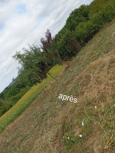 Photo de galerie - Après 