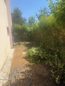 Photo de galerie - Jardinier, tailleur,