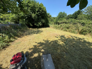 Photo de galerie - Débroussaillage et tonte d’un terrain 
