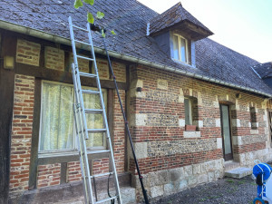 Photo de galerie - Demoussage ah la brosse 