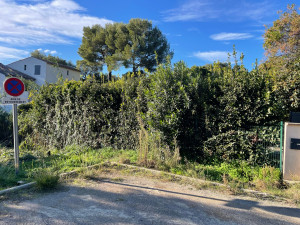 Photo de galerie - Taille de haies et d'arbustes