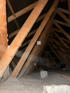 Photo de galerie - Bricolage et multi services