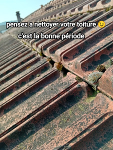 Photo de galerie - Premier nettoyage de printemps 
