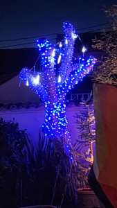 Photo de galerie - Voilà comment utiliser les vieilles souches 