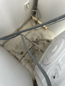 Photo de galerie - Nettoyage des sols 