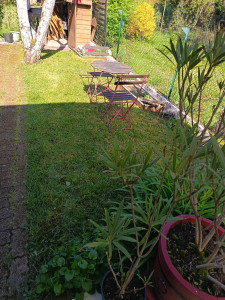 Photo de galerie - Tonte d'une petite parcelle d'herbe 
prochaine étape le nettoyage de la terrasse en pavé 