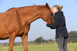 Photo de galerie - Je suis propriétaire de chevaux depuis 10 ans je monte tout types de chevaux j'ai une jument gestante 