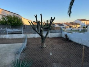 Photo de galerie - Nettoyage finis avec gazon appliqué 