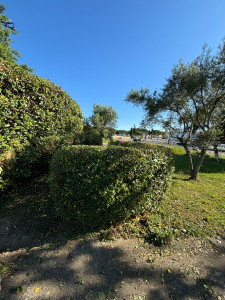 Photo de galerie - Taille 