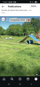 Photo de galerie - éducatrice comportementaliste 