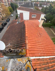 Photo de galerie - Nettoyage toiture 