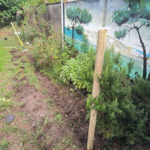 Photo de galerie - Paysagiste - Aménagement du jardin