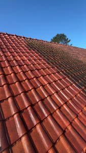 Photo de galerie - Couverture - Toiture