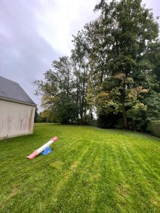 Photo de galerie - Tonte de pelouse - Débroussaillage