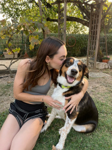 Photo de galerie - Home sitting - Accueil - Gardiennage