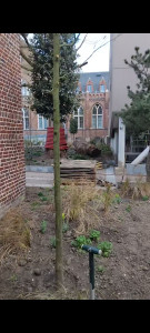 Photo de galerie - Paysagiste - Aménagement du jardin