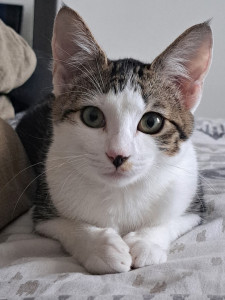 Photo de galerie - Visites à domicile