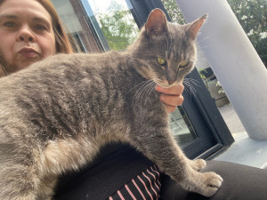 Photo de galerie - Visite de Oscar lors de l’absence de sa famille 