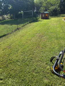 Photo de galerie - Tonte