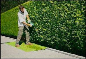 Photo de galerie - Efficace, rapide et professionnel