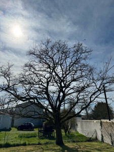 Photo de galerie - Avant