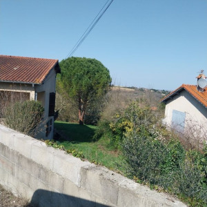 Photo de galerie - Taille de haies et d'arbustes