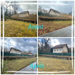 Photo de galerie - Taille d’une haie de miscanthus 