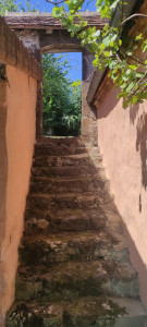 Photo de galerie - Arrachage de lierre dans tout le couloir de l'escalier et la toiture de l'arche.