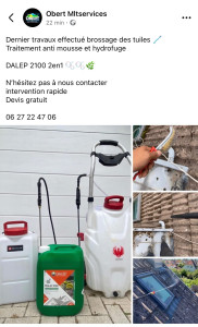 Photo de galerie - Démoussage manuel, traitement anti mousse et hydrofuge DALEP 2100