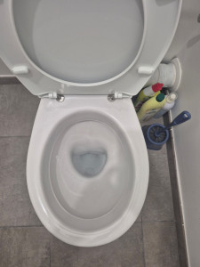 Photo de galerie - Nettoyage wc