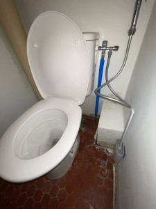 Photo de galerie - Remplacement d’un WC complet avec reprise de l’alimentation et installation d’une douchette