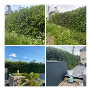 Photo de galerie - Taille de haies et d'arbustes