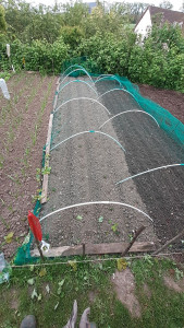 Photo de galerie - Potager jardinage entretien 