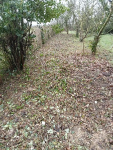 Photo de galerie - Broyage roncier.