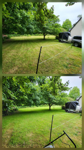 Photo de galerie - Tonte de pelouse - Débroussaillage