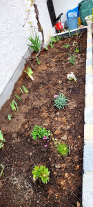 Photo de galerie - Paysagiste - Aménagement du jardin