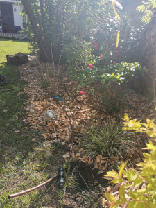 Photo de galerie - Pose d'arrosage goutte-à-goutte 