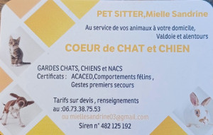 Photo de galerie - Pet sitter a votre domicile,gardes et promenades,transports vétérinaire, nettoyages litières, gamelles   de chats,chiens lapins,tortues,poules ...etc...